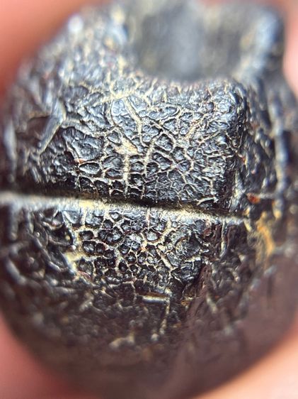 ลูกอมพอดคลั่ง หลวงพ่อทองสุข (มีสินค้าหลายรายการกดเข้ามาดูในโปรไฟล์ได้เลยครับ) รูปที่ 6