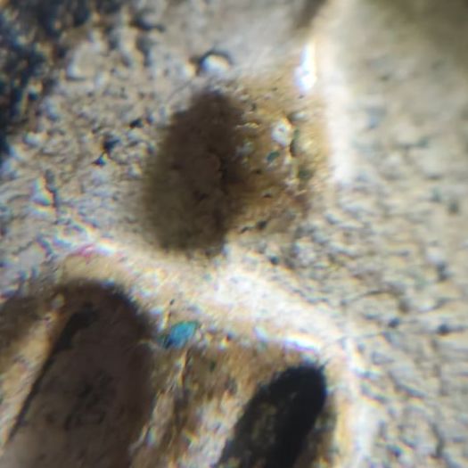 พระสมเด็จสวย พร้อมตลับสวย