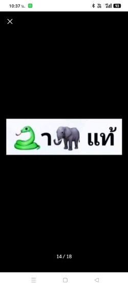 มีดพกเนื้อสแตนเลสแท้ด้ามเนื้อแท้ธรรมชาติลายชัดสภาพเยี่ยม รูปที่ 17