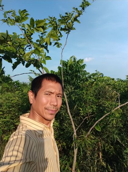 ที่ดินโฉนด ต.หนองตากยา อ.ท่าม่วง จ.กาญจนบุรี ขุดคูรอบแปลง สำหรับทำการเกษตร เลี้ยงสัตว์ได้ ไร่ละแสน4กว่า พร้อมไม้ป่ามีค่าจำนวนมาก สูงกว่าคนแล รูปที่ 3