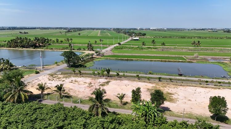 ที่ดินตำบลคลองเปร็งฉะเชิงเทรา รูปที่ 3