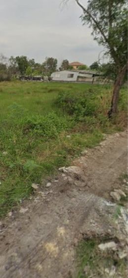 ใช่ ขายด่วนที่ดิน113ตรวคลองแอนคลองหลวงหลังโรงงานกษาปณ์ รูปที่ 2