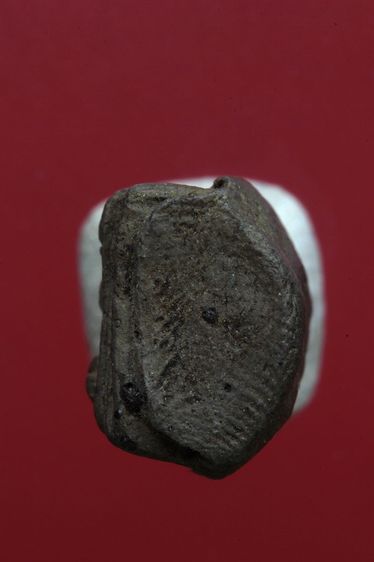 พระรอดลำพูนสวยๆค่ะเก่าค่ะ รูปที่ 5