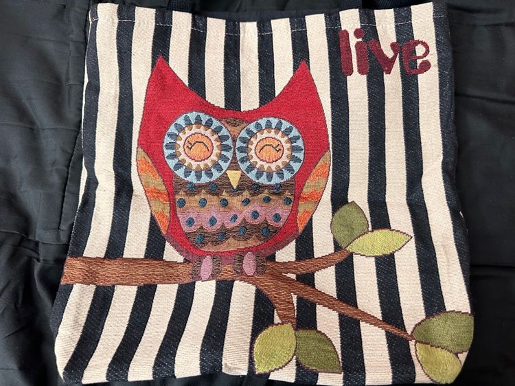 กระเป๋าผ้า รูปที่ 3