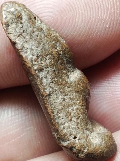 นางพญาเนื้อดินครับ รูปที่ 9