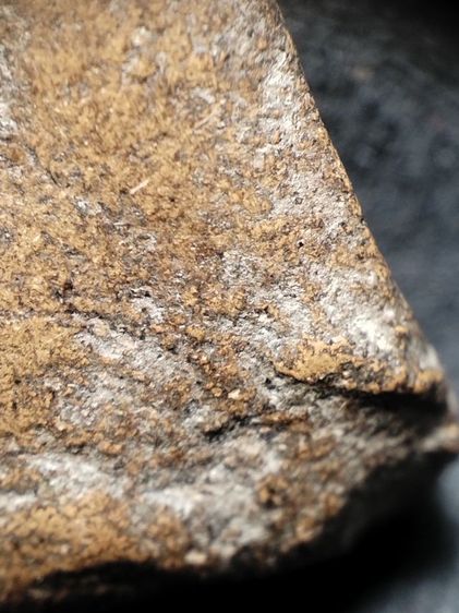 นางพญาเนื้อดินครับ รูปที่ 15