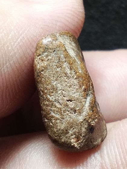 นางพญาเนื้อดินครับ รูปที่ 14