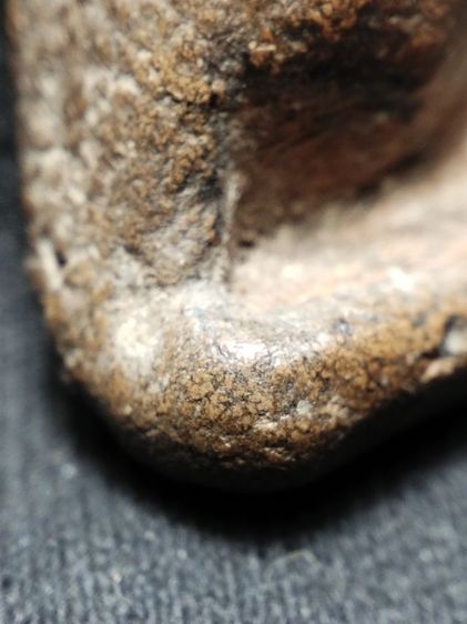 นางพญาเนื้อดินครับ รูปที่ 11