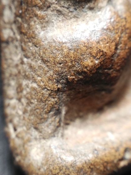 นางพญาเนื้อดินครับ รูปที่ 10