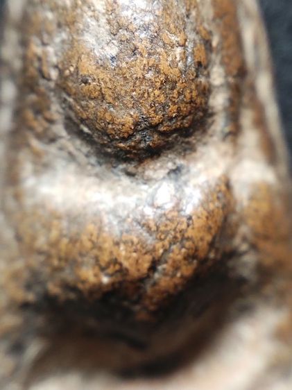 นางพญาเนื้อดินครับ รูปที่ 6