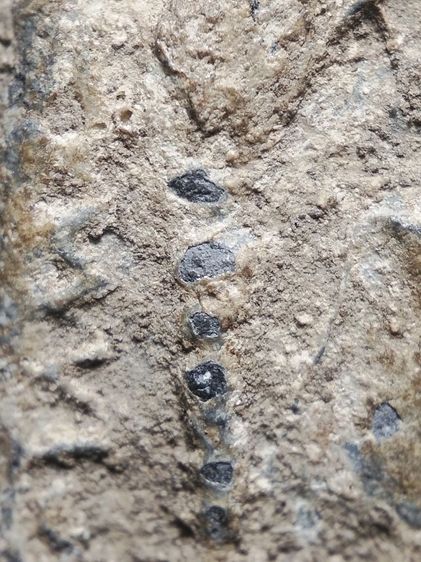 พระสมเด็จปิลันท์ครับซุ้มประตู รูปที่ 11