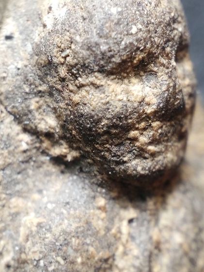 พระหลวงปู่ทวดเนื้อว่านครับ รูปที่ 5