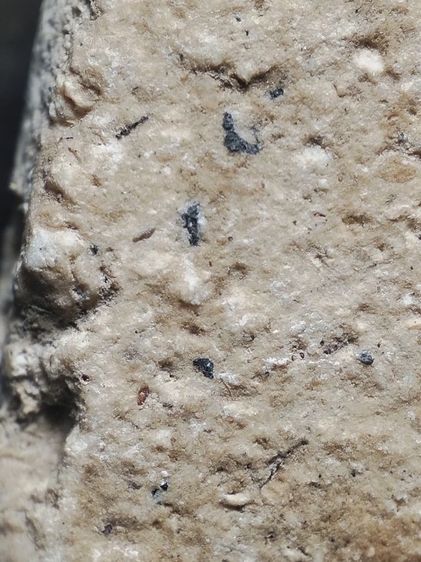 พระสมเด็จเนื้อสวยๆครับ รูปที่ 17