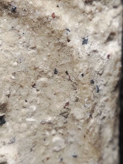 พระสมเด็จเนื้อสวยๆครับ รูปที่ 5