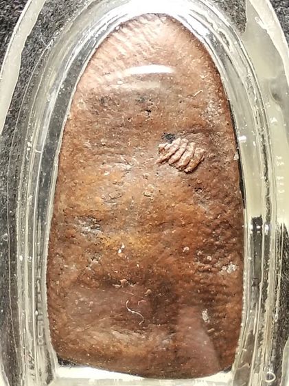 พระรอดลำพูนพิมพ์ใหญ่ครับ รูปที่ 10