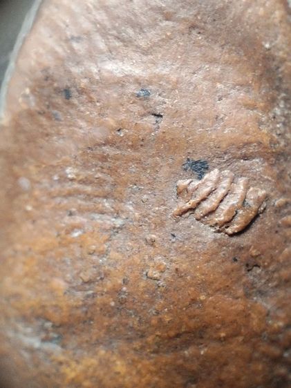 พระรอดลำพูนพิมพ์ใหญ่ครับ รูปที่ 11