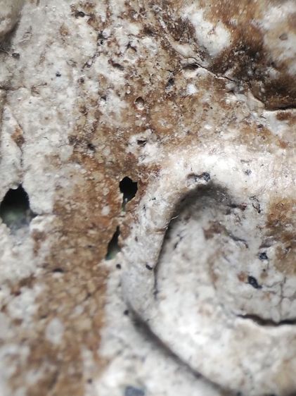 พระสมเด็จเนื้อสวยจัดๆเลยครับ รูปที่ 10