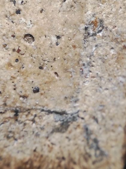 พระสมเด็จเนื้อสวยจัดๆเลยครับ รูปที่ 17