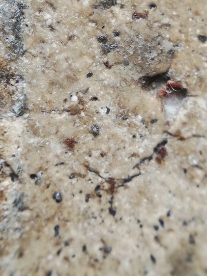 พระสมเด็จเนื้อสวยจัดๆเลยครับ รูปที่ 15