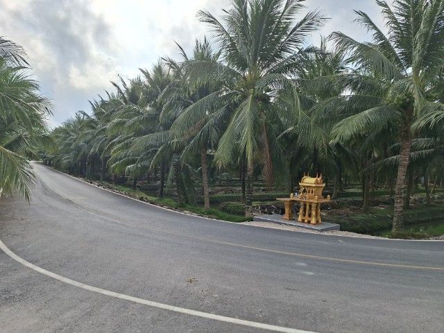 ขายที่ดินสวนมะพร้าว รูปที่ 4