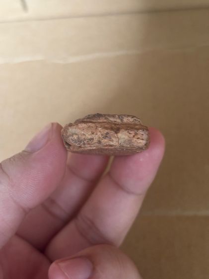 พระขุนแผน กรุวัดบ้านกร่าง สุพรรณ รูปที่ 5