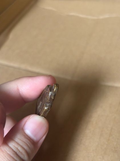 เหรียญหล่อหลวงพ่อทา รูปที่ 6