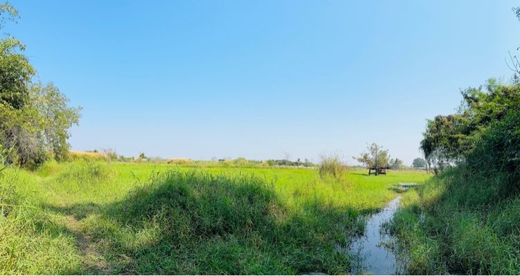 ใช่ ❗️ขายด่วน❗️ที่ดินเปล่าบรรยากาศดี ต.ข่วงเปา จ.เชียงใหม่ รูปที่ 4