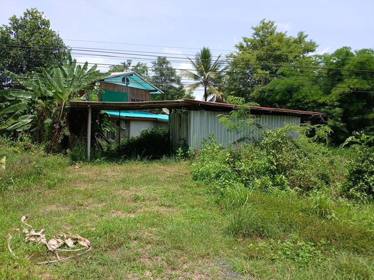 ขายที่ดิน รูปที่ 3