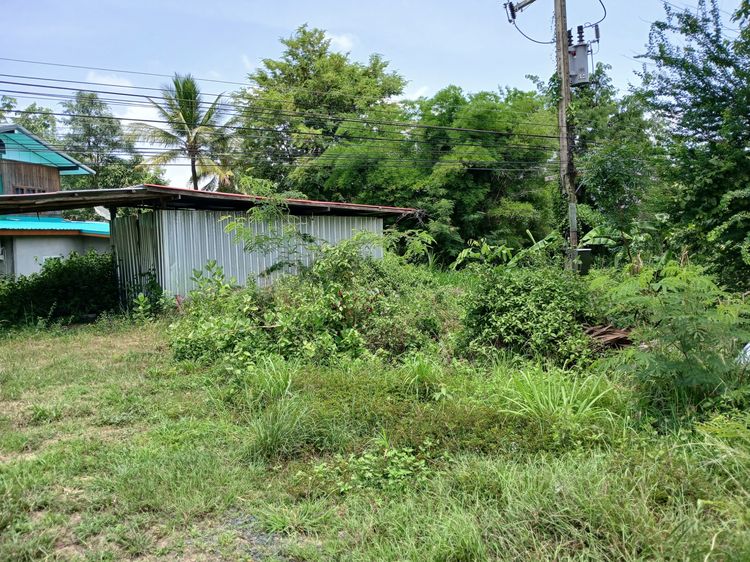 ขายที่ดิน