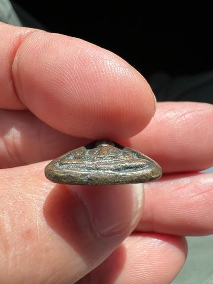 จอบเล็ก พ่อเงิน(ติดจองมีมัดจำ) รูปที่ 5