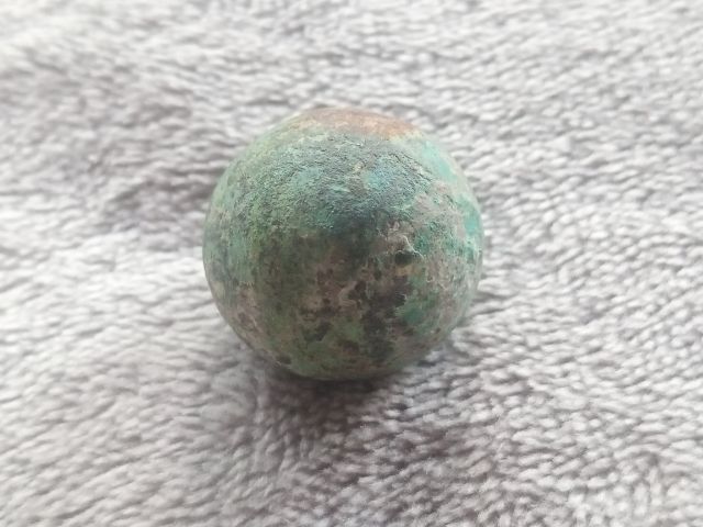 ปรอทกรอ (ตัวเมีย) รูปที่ 2