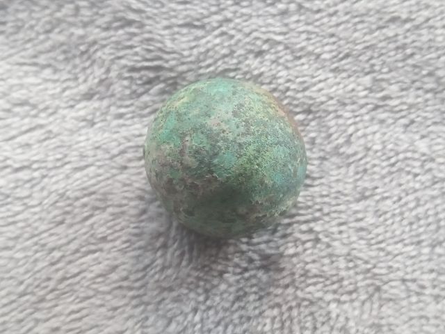 ปรอทกรอ (ตัวเมีย) รูปที่ 10