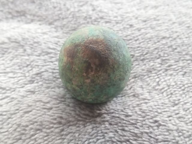 ปรอทกรอ (ตัวเมีย) รูปที่ 5