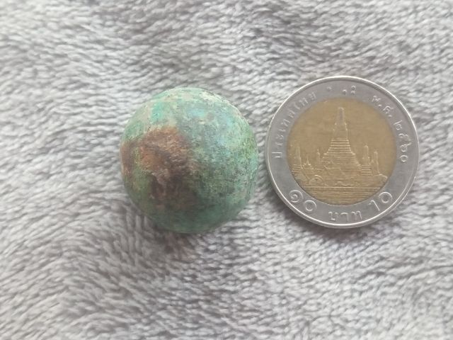 ปรอทกรอ (ตัวเมีย) รูปที่ 11