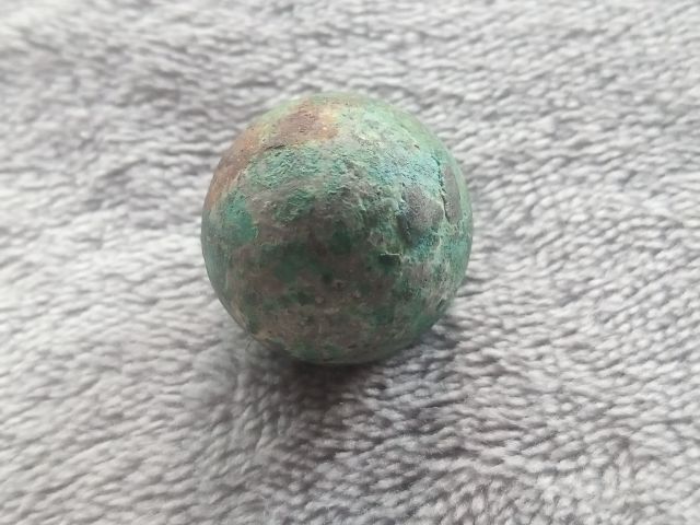 ปรอทกรอ (ตัวเมีย) รูปที่ 3