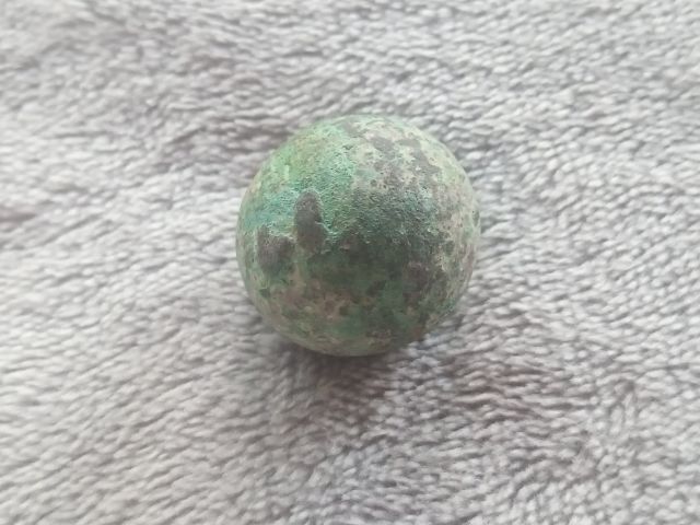 ปรอทกรอ (ตัวเมีย) รูปที่ 4