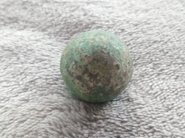 ปรอทกรอ (ตัวเมีย) รูปที่ 7