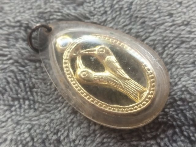 นกสาริกา รูปที่ 3