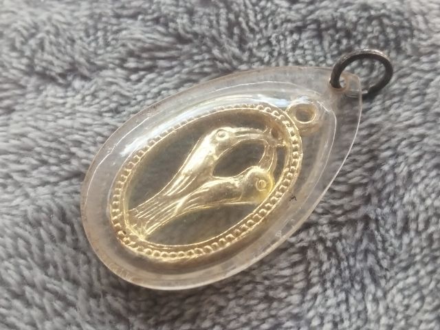 นกสาริกา รูปที่ 5