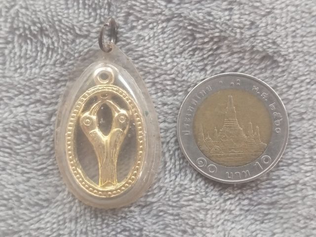 นกสาริกา รูปที่ 7