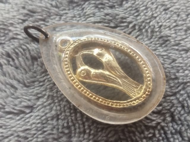 นกสาริกา รูปที่ 6