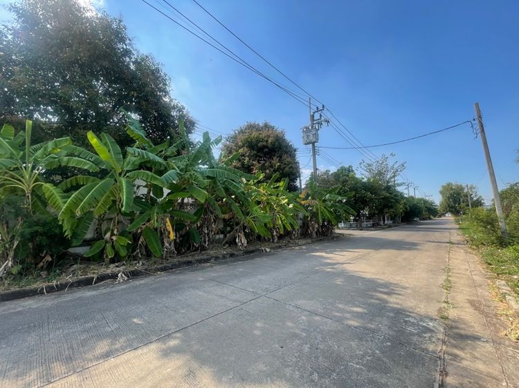 อื่นๆ ไม่มี ไม่ใช่ ขายบ้านเดี่ยวหลังมุม เนื้อที่ยักษ์ 113.6 ตร.ว. ใกล้ศาลยุติธรรมใหม่หนองจอก-สุวินทวงศ์ ร่มรื่น ความเป็นส่วนตัวสูง รูปที่ 2