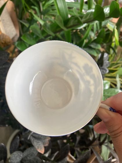 (489 ส่งฟรี ทุกรุ่น) ถ้วยชากาแฟจาก อิตาลี่ ญีปุ่น งานวินเทจ สวยทุกชุด รูปที่ 15