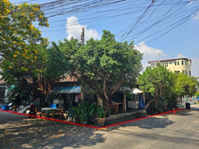 ไม่ใช่ 🏠 ที่ดินทำเลดี หมู่บ้านธารทิพย์ 3 (ทาวน์อินทาว) ที่ดินแปลงมุม  รูปที่ 4