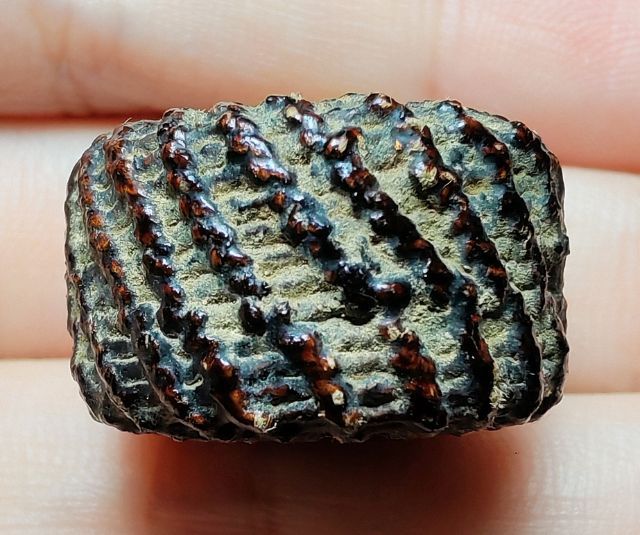 🚩ตะกรุด พิสมร ลายกงจักร หลวงพ่อแก้ว วัดพวงมาลัย🚩 รูปที่ 4