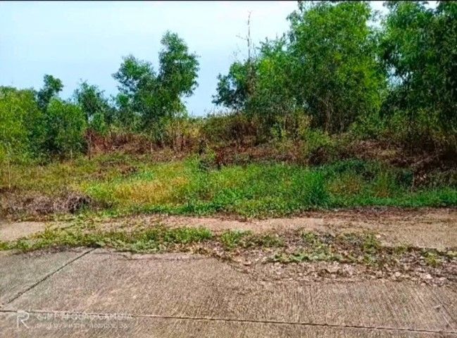 ที่ดิน 120 ตารางวา