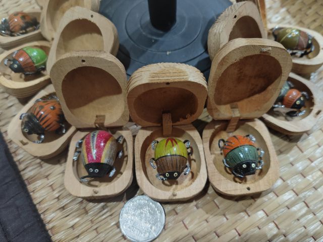 เต่าทองในกล่องไม้สุ่ม10ชิ้น🐞🐞🐞🐞🐞 รูปที่ 2