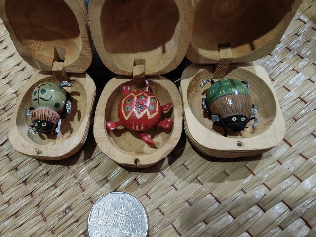 เต่าทองในกล่องไม้สุ่ม10ชิ้น🐞🐞🐞🐞🐞 รูปที่ 11