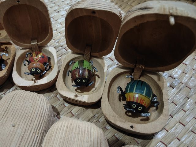 เต่าทองในกล่องไม้สุ่ม10ชิ้น🐞🐞🐞🐞🐞 รูปที่ 6