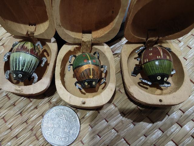 เต่าทองในกล่องไม้สุ่ม10ชิ้น🐞🐞🐞🐞🐞 รูปที่ 10